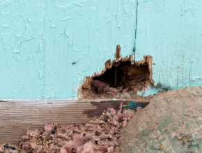 Wildlife Damage Repairs