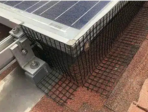 Solar Panel Critter Guard & Cleaning