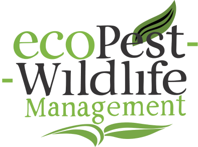 ecoPest Wildlife Management